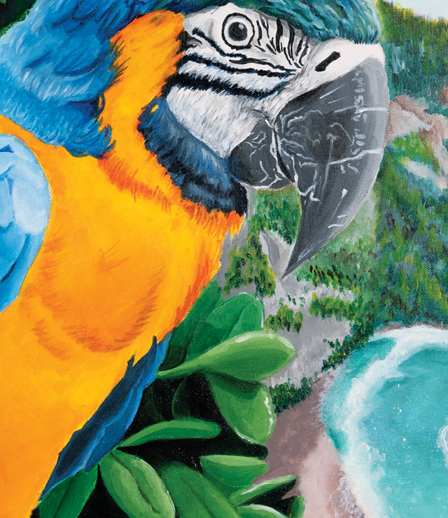 Parrot Paradise